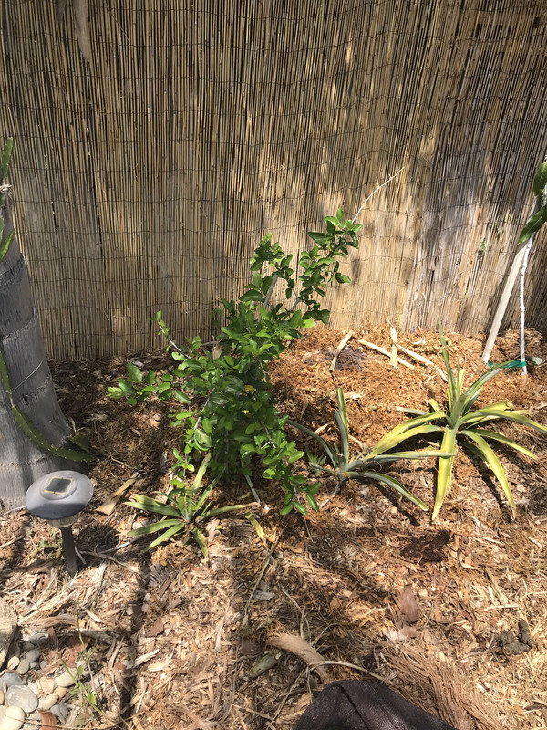 F2D56047-CE6E-4BA6-91E7-BE1EDAFD43EB