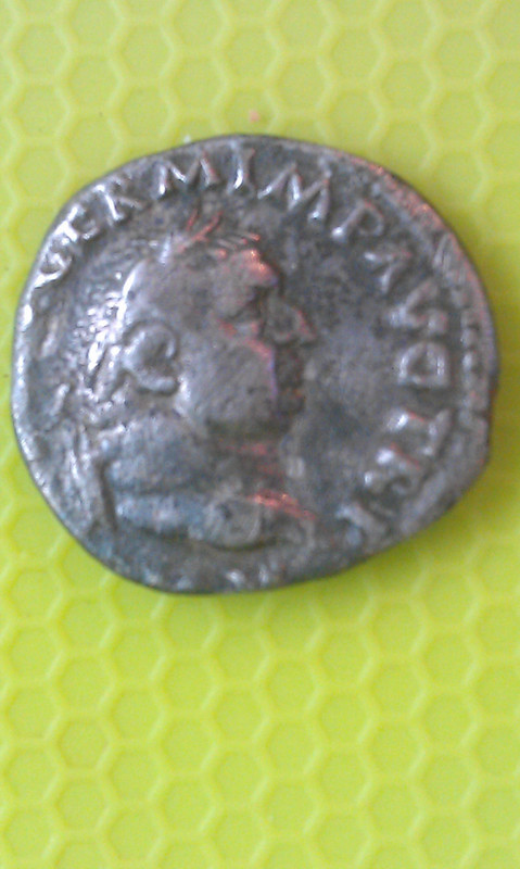 IMAG1451