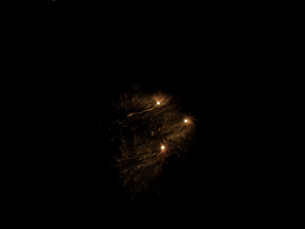 100-0343.jpg