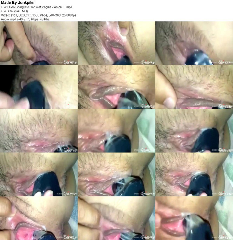 Dildo_Going_Into_Her_Wet_Vagina_-_AsianFF