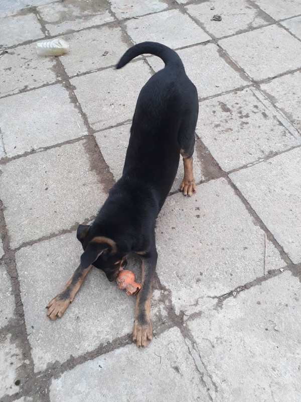 изображение_viber_2020-02-23_15-30-53