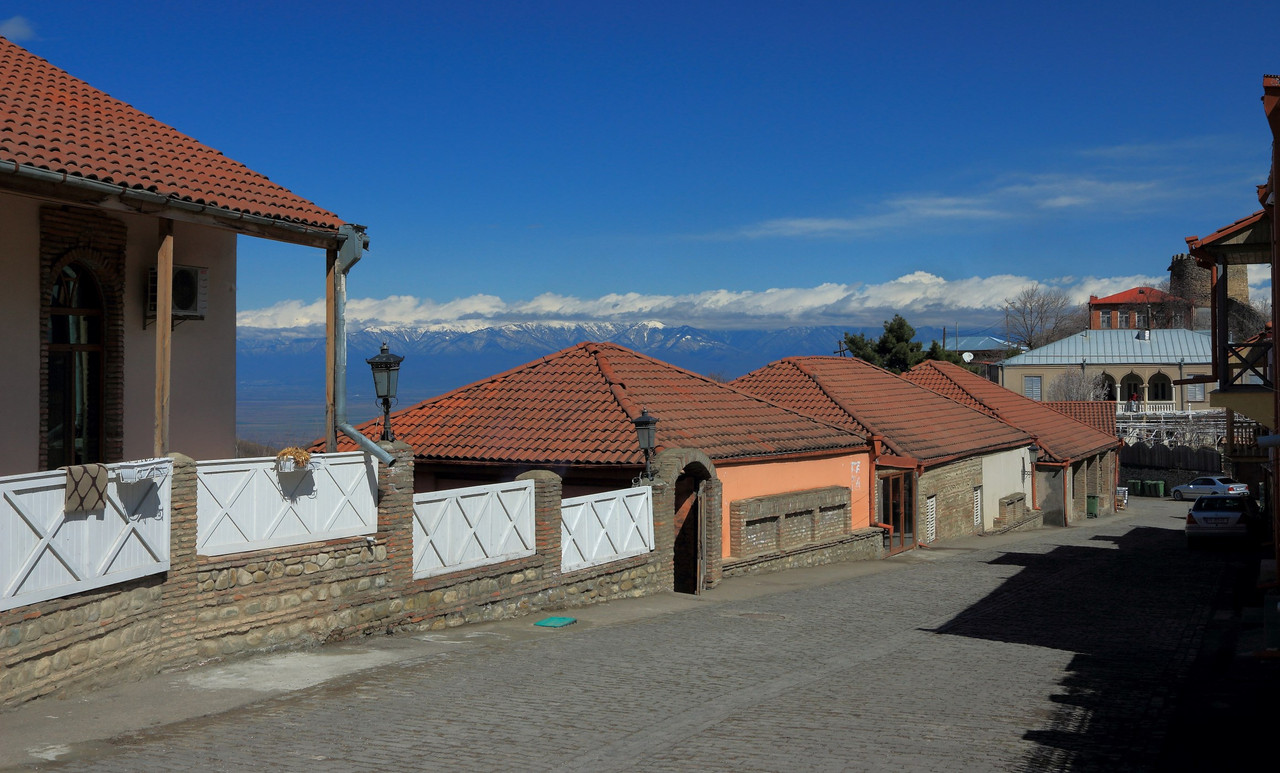 IMG_0167 (2317 x 1400)