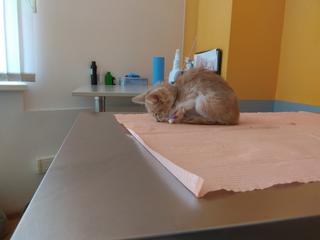 EB953D20-3C3F-4D33-9CEA-872BFF0DBA17