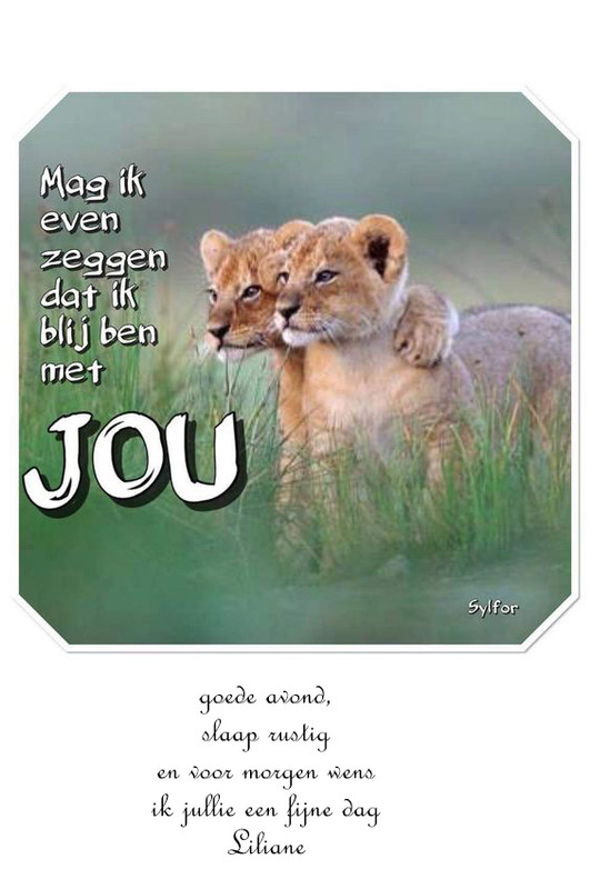 3bd8ffb1772fedfaa82c4385e99965bb