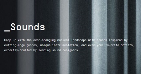 Arturia Sound Banks Bundle 2023.8 CE-V.R Arturia Sound Banks Bundle 2023.8 CE-V.R