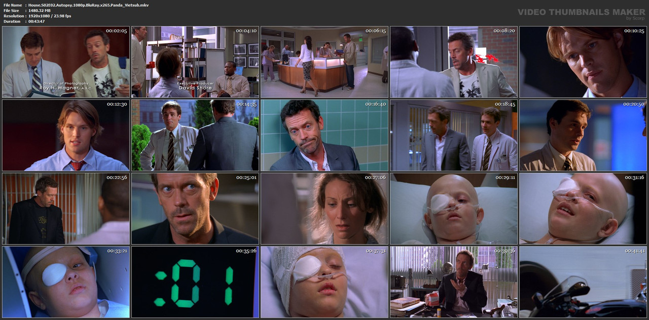 House-S02-E02-Autopsy-1080p-Blu-Ray-x265-Panda-Vietsub-mkv.jpg
