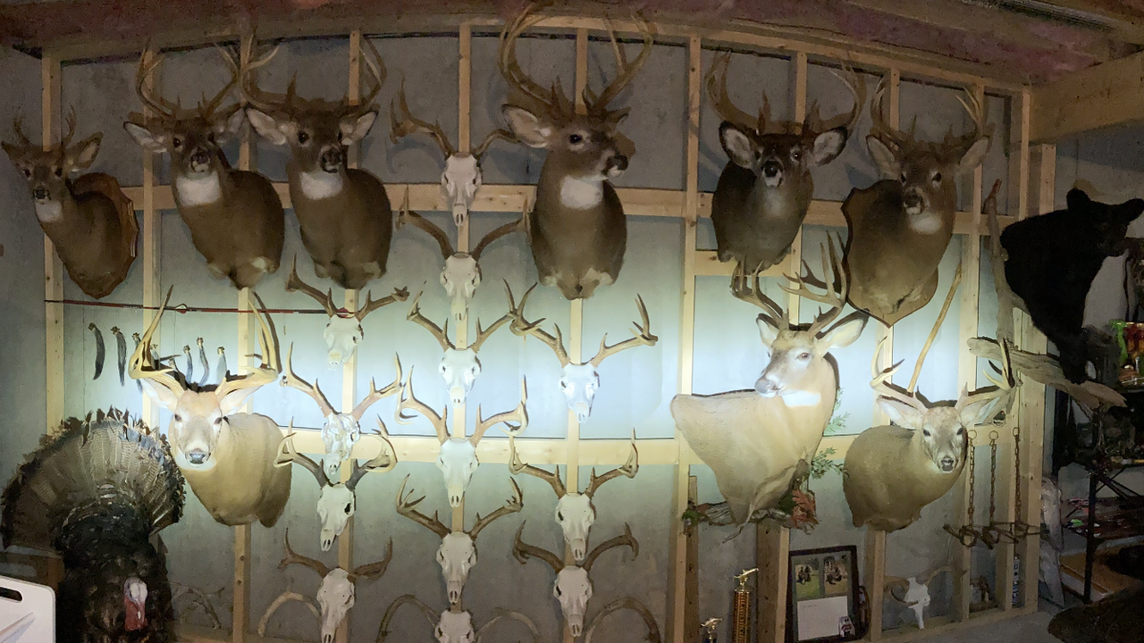 E8533246-3E63-441D-BB38-F02D746EC15F