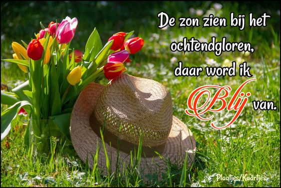 dedee20f543ef493701f9dd84a72e231