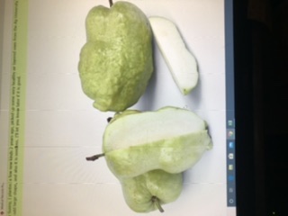 C2F542E5-CA4D-463F-A9C3-D20D5DCA6765