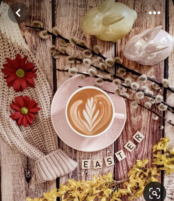 Screenshot_20230415_231928_Pinterest