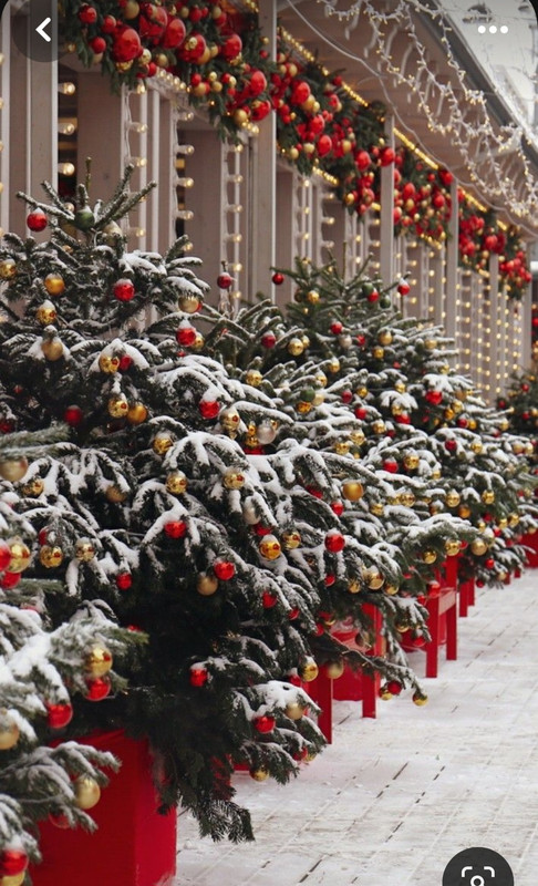 Screenshot_20231217_190225_Pinterest