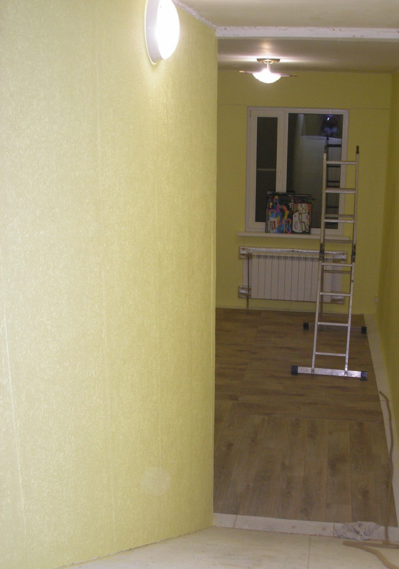 P1305138.jpg