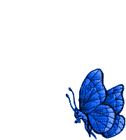301989-e2965.gif