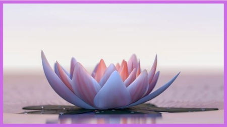 Physical & Spiritual Transformation in 10 days