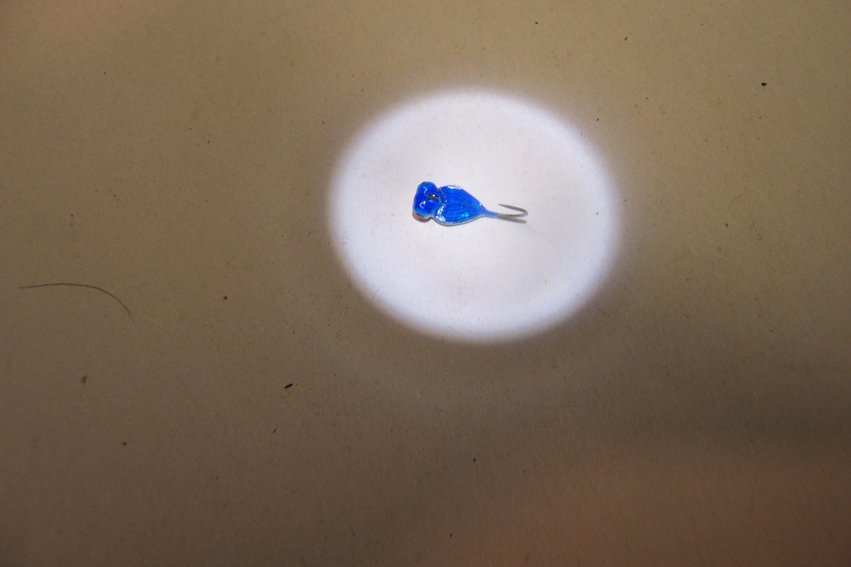 000_0537