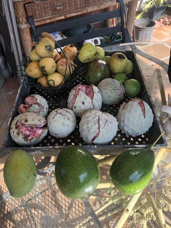 EBB6A169-8751-4280-9A4A-B8B4C82DE428