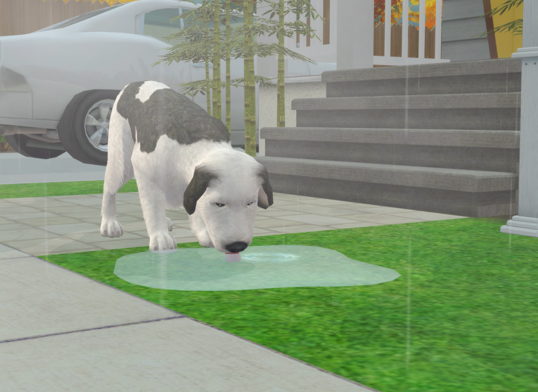 Sims2-EP9-RPC-2024-04-17-19-38-45-68