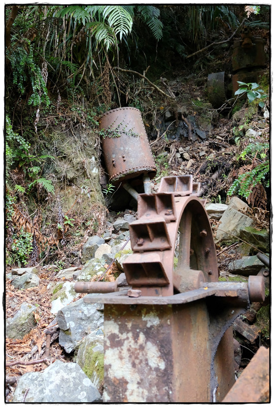 The Old Ghost Road (marzo 2024) - Escapadas y rutas por la Nueva Zelanda menos conocida (72)