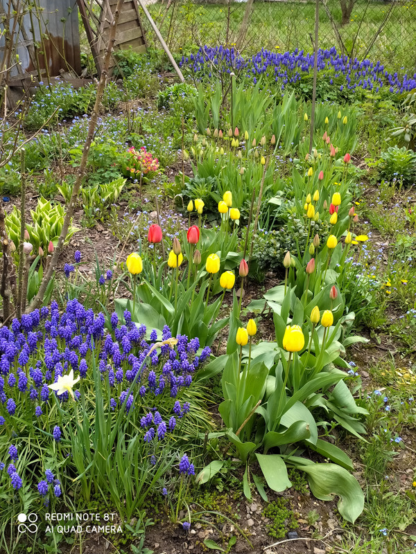 IMG_20210505_105201 (1)