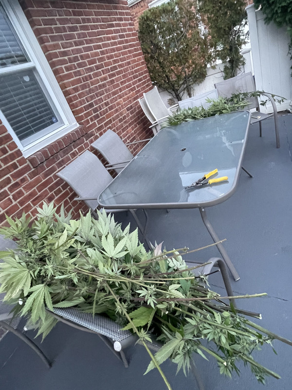 D9E4E6D6-B0CC-4DA4-9296-58FDC66F581B