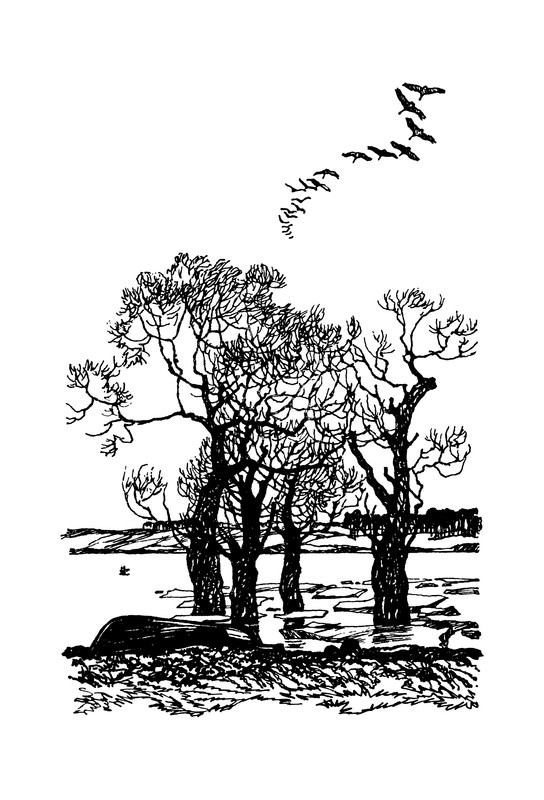 p0014