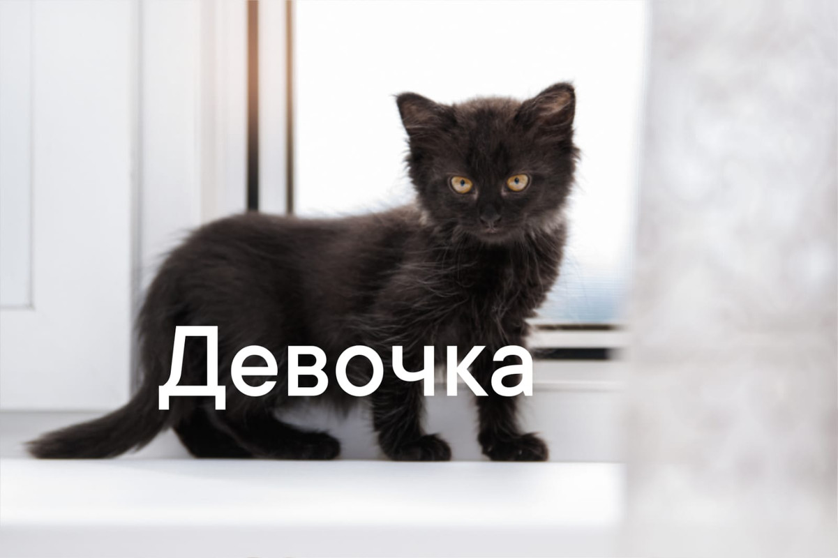 Изображение WhatsApp 2025-08-18 в 10.28.36_3bb54e38