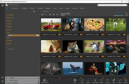 IDimager Photo Supreme 7.4.1.4559 (x64) Multilingual Portable