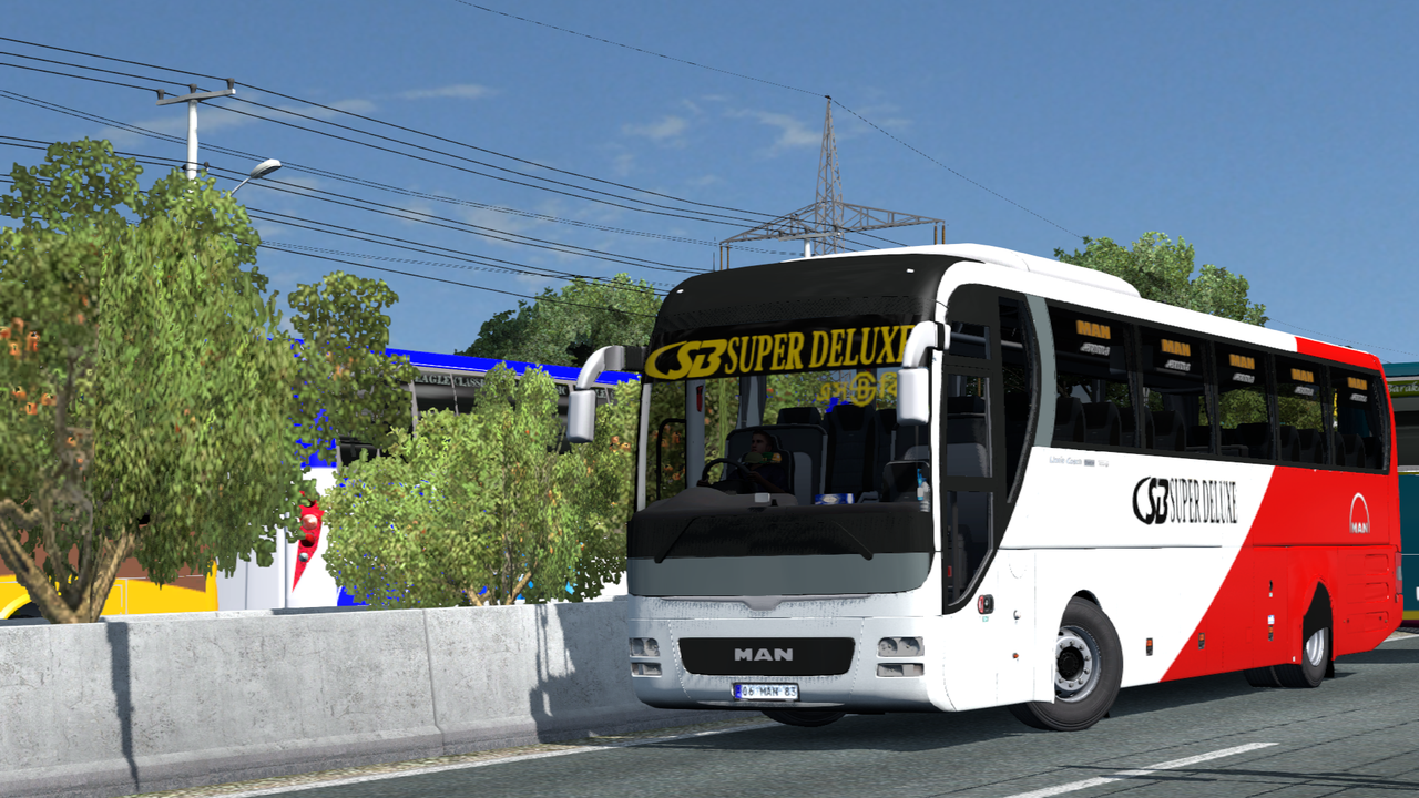 Man Lion's Coach Right Hand