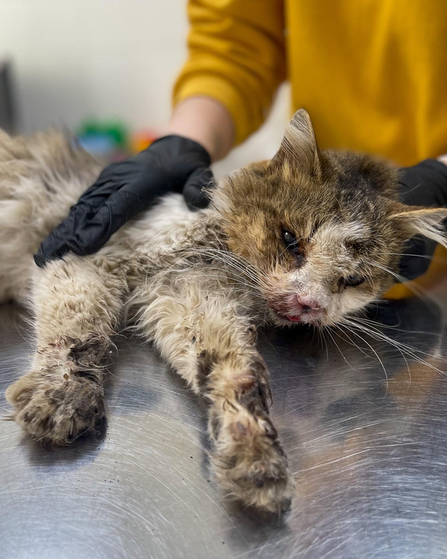 21D234CF-9385-4AB4-9557-A71E00EEB9C0