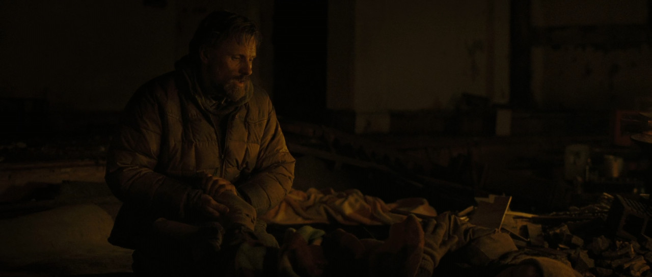 The Road (2009).mkv_snapshot_01.14.44_[2018.02.12_22.23.50]