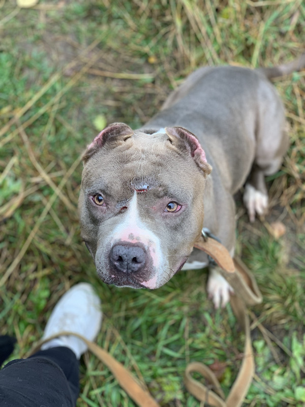 0DE92BE5-E1ED-46F3-BCFF-BD21F9E97B8E