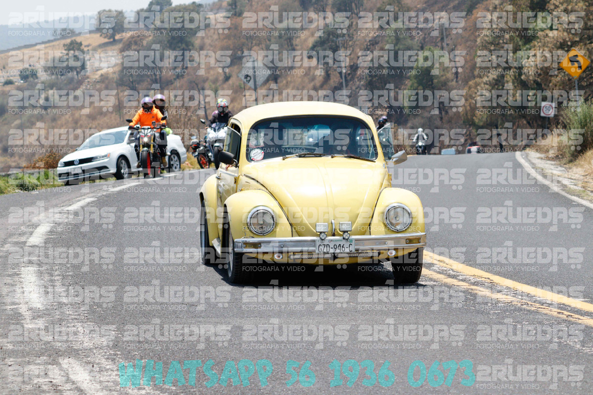 MG 1180 — Postimages