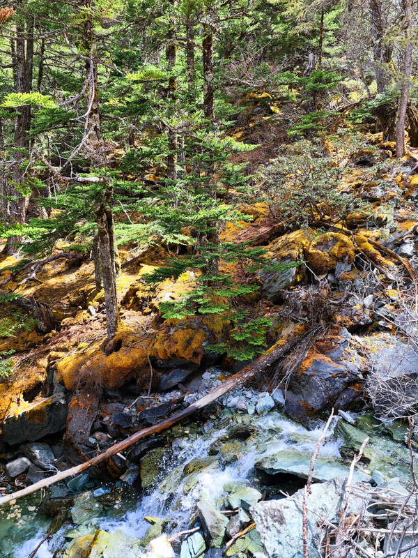 IMG_20230520_151311_副本