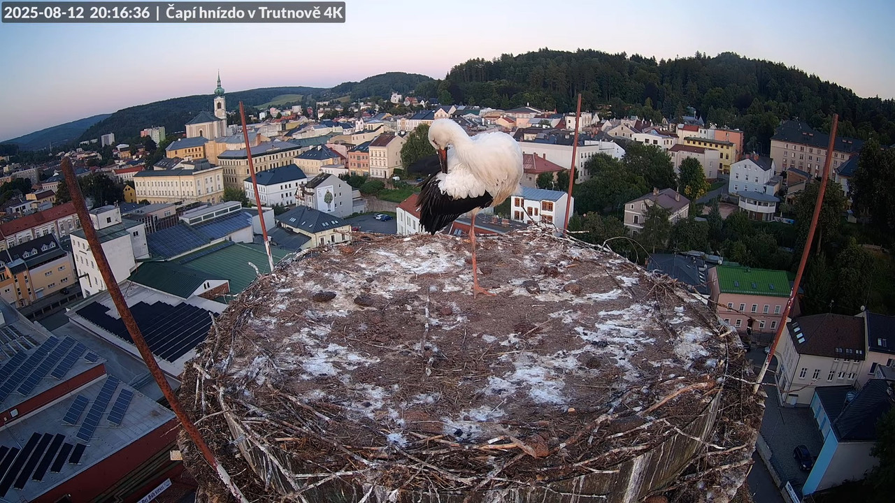 Tiešraide no stārķa ligzdas uz alus darītavas skursteņa Trutnovā 13-7-17 screenshot