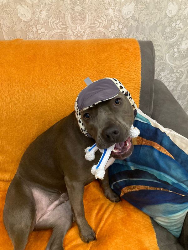 64C1E4F0-A12D-4B84-95E8-8E56E44A4BED