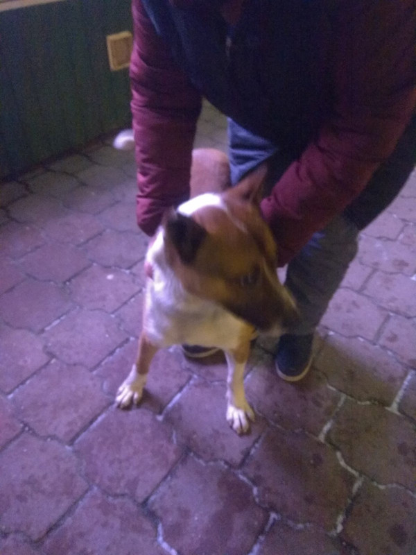 FFF718B2-3EBD-4A95-8E20-B7F1E61412F7