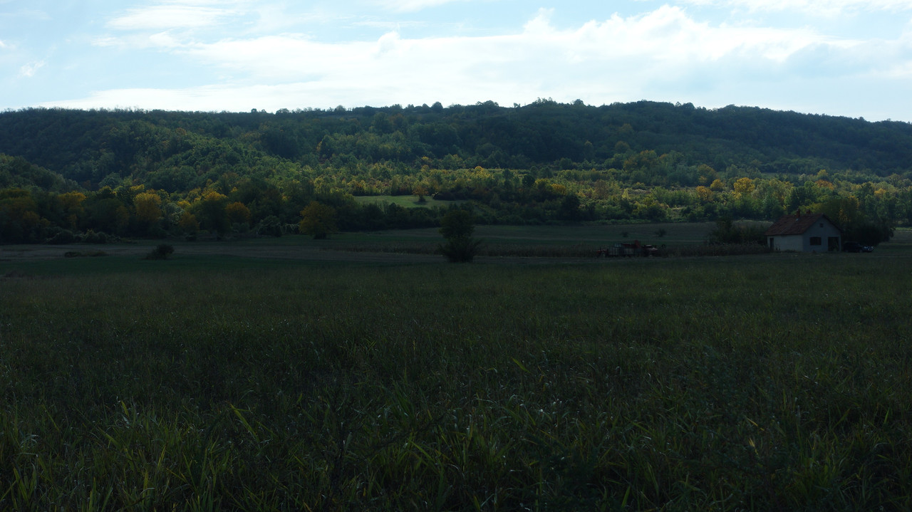 DSC04202.jpg