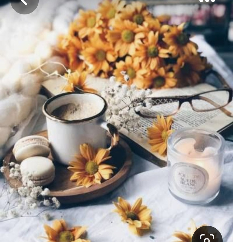 Screenshot_20230622_010323_Pinterest