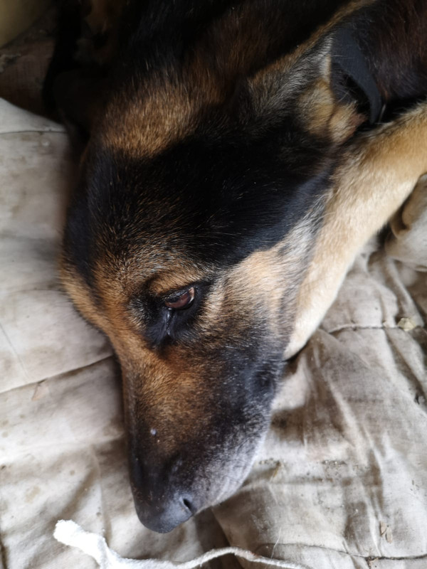 WhatsApp Image 2021-02-17 at 12.22.22 (1)