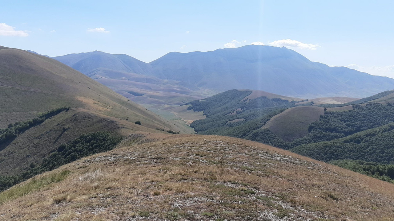 WhatsApp Image 2021-07-10 at 18.14.54(4)