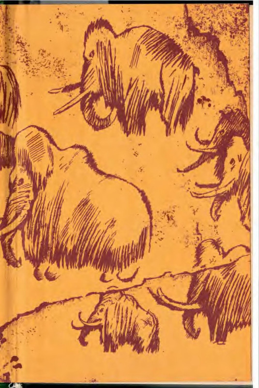 p0004