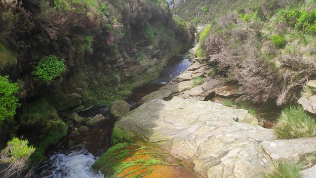 IMG_20210613_133542_1