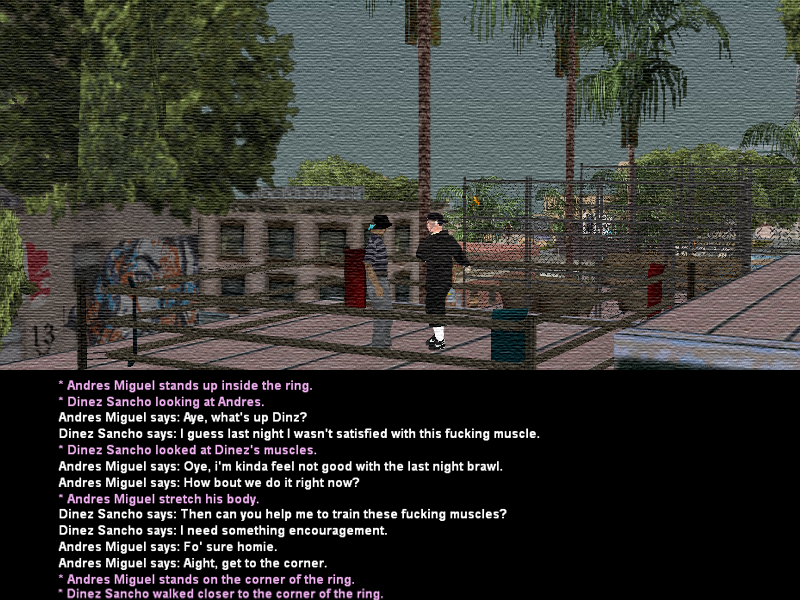 SSRoleplay110.png