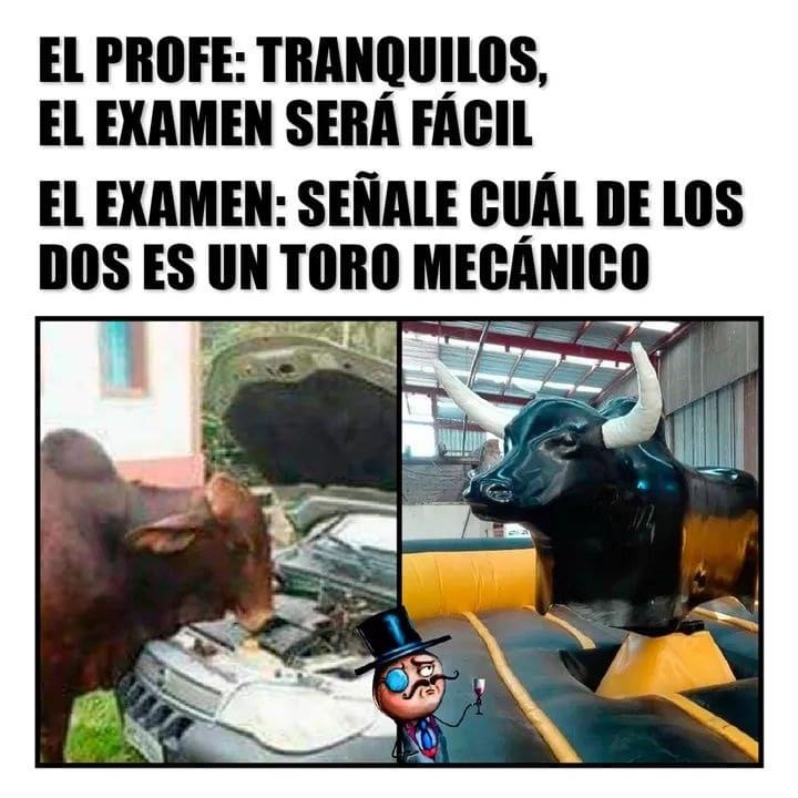 7-E93-E7-C1-D8-D7-49-A9-9587-C15-C6-F0-D02-BF.jpg