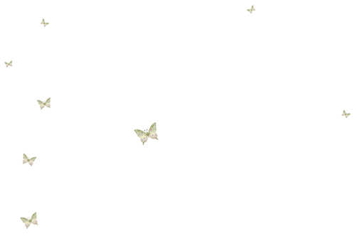 KBK_InTheSpring (43)