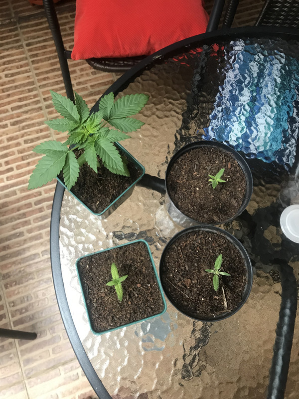 2358C523-4519-4EC8-BBC8-5E5BD68353EC