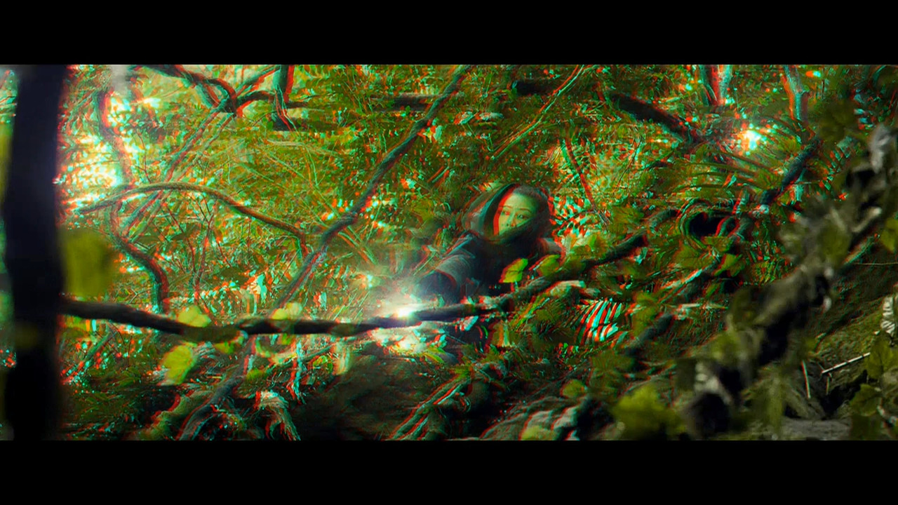 Chinese.Zodiac.(2012).3D.(Anaglyph_Dubois).mkv_20220905_174449.823