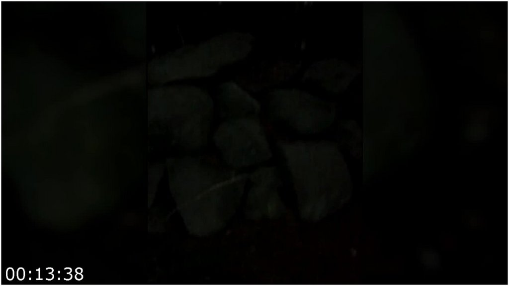 Bigfoot-Witness-The-Jason-Morse-Story-2022-720p-WEB-H264-PFa.jpg