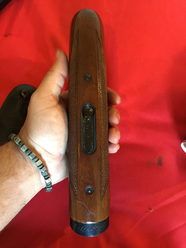 D894A599-68FA-4226-940C-DDF21086D348