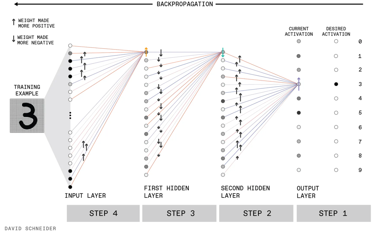 backwards propagation.png